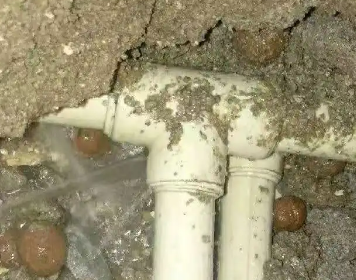 六枝特测漏水多少钱