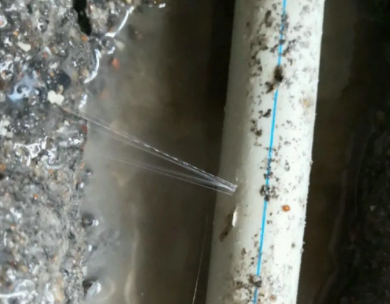 六枝特测漏水哪家好