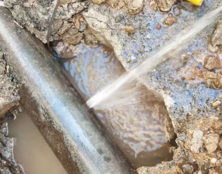 六枝特测漏水公司