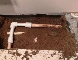 六枝特测漏水哪家好